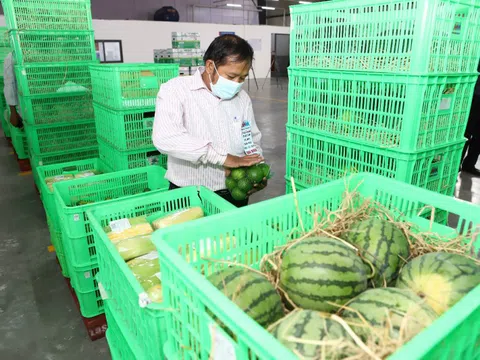 MM Mega Market khai trương trung tâm mua bán rau củ quả tại Tiền Giang
