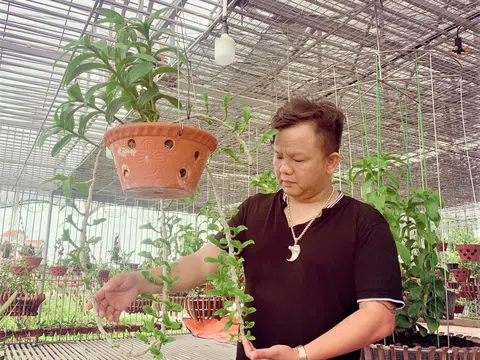 Anh Nguyễn Đăng Ghin (Phú Xuyên - Hà Nội) chia sẻ về lợi ích của thú chơi hoa lan