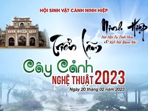 Hà Nội: Mãn nhãn sân chơi Cây cảnh nghệ thuật triệu đô tại Ninh Hiệp