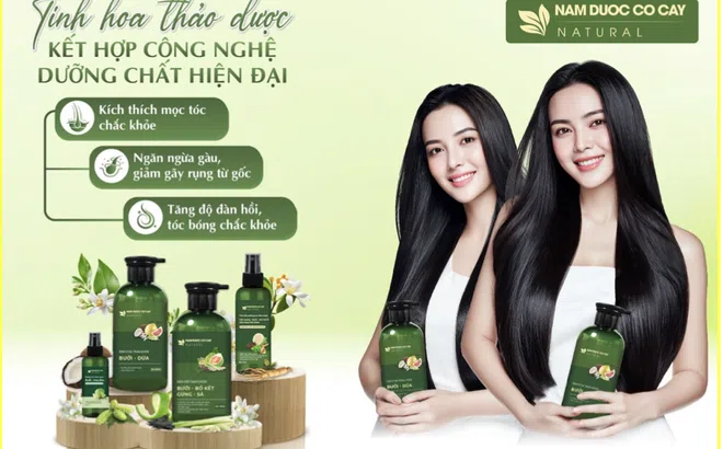 Nam Dược Cỏ Cây - Thương hiệu chăm sóc tóc thiên nhiên chứng minh giá trị bằng tiêu chuẩn chất lượng quốc tế