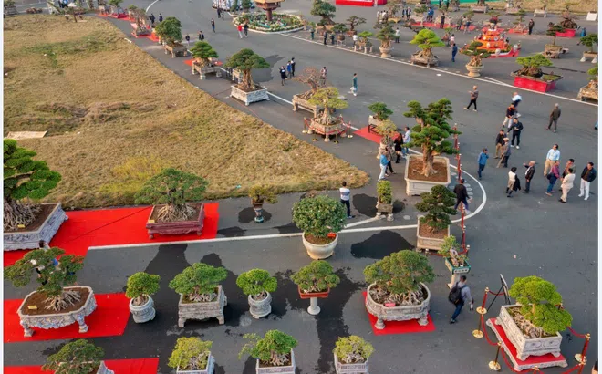 Liên hoan Sinh Vật Cảnh Thủ đô 2024